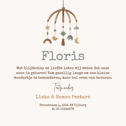 Geboortekaartje vintage auto baby speelgoed kaders Achterkant