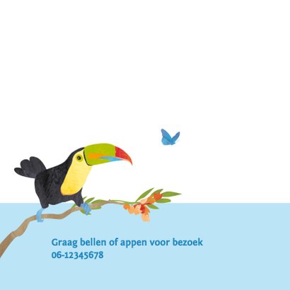 Geboortekaartje vogeljungle 2