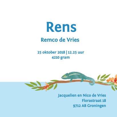 Geboortekaartje vogeljungle 3