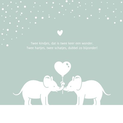 Geboortekaartje voor een tweeling met olifantjes en confetti 2