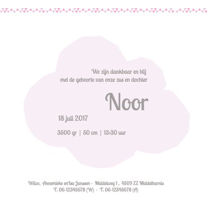Geboortekaartje voor een zusje 3