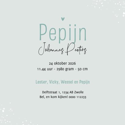 Geboortekaartje vosje broertje vlaggetjes dieren verf 3