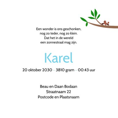 Geboortekaartje vw kever jongen 3