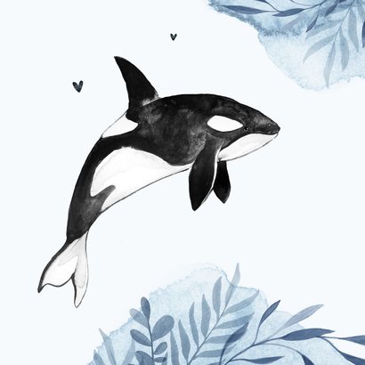 Geboortekaartje walvis orka water zee waterverf 2