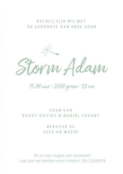 Geboortekaartje waterverf silhouet jongen met paardenbloem 3