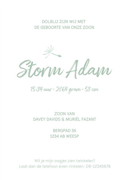 Geboortekaartje waterverf silhouet jongen met paardenbloem 3