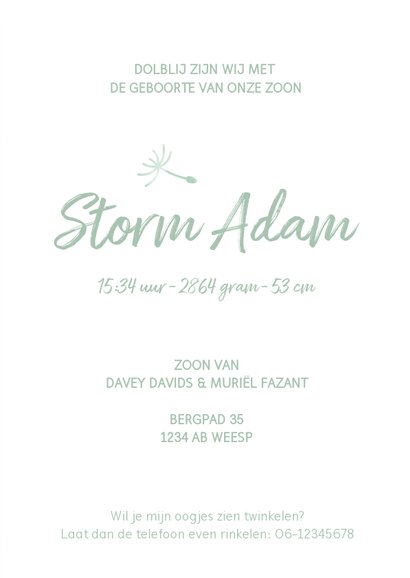 Geboortekaartje waterverf silhouet jongen met paardenbloem 3
