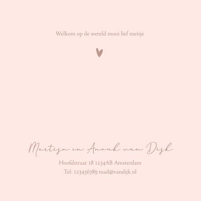 Geboortekaartje wiegje hip meisje roze 2