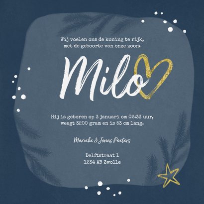 Geboortekaartje winter pinguin goud sterren hartje 3