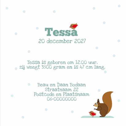 Geboortekaartje winterbos 3