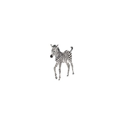 Geboortekaartje zebra Afrika Achterkant