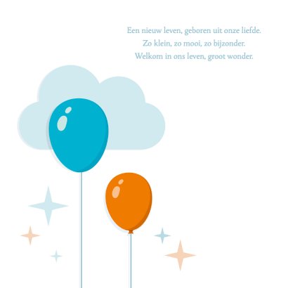 Geboortekaartje Zoon Ballonnen 2