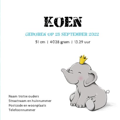 Geboortekaartje zoon met olifantje en kroon 3
