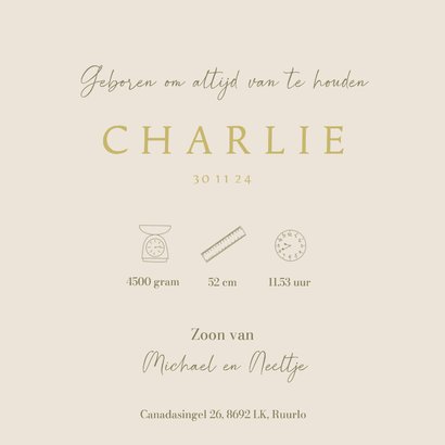 Geboortekaartje zoon met vosje, musje en paddenstoeltjes 3