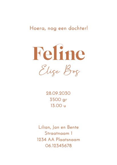 Geboortekaartje zus geeft zusje een kusje koper 3