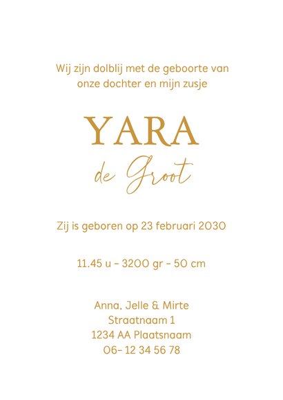 Geboortekaartje zus kust zusje of broertje in goudfolie 3