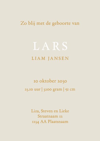 Geboortekaartje zus met kinderwagen broertje of zusje 3