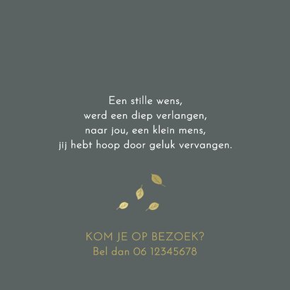 Geboortekaartje zus met kruiwagen goudlook 2