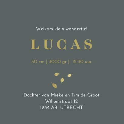 Geboortekaartje zus met kruiwagen goudlook 3