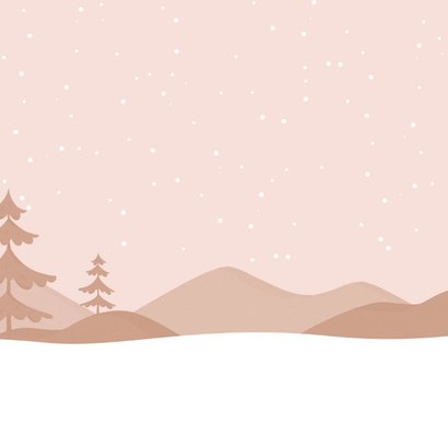 Geboortekaartje zusje broer winter slee sneeuw silhouet maan Achterkant