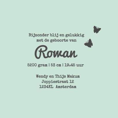 Geboortekaartje zusje en baby av 3