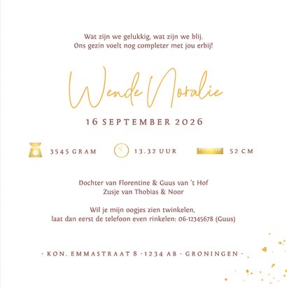 Geboortekaartje zusje in wiegje met grote zus en broer 3