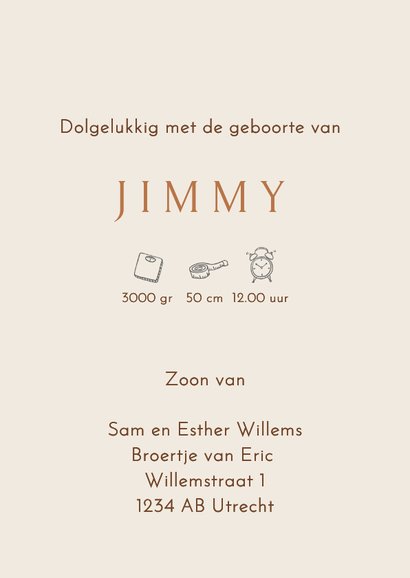 Geboortekaartje zusje met baby broertje in kruiwagen 3