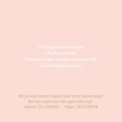 Geboortekaartje zusje met kruiwagen meisje goudlook 2