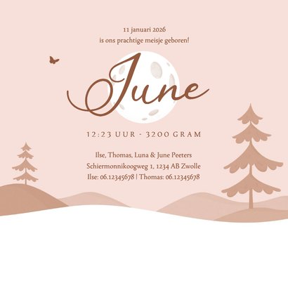 Geboortekaartje zusje silhouetjes kruiwagen natuur bomen 3