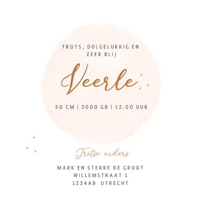 Geboortekaartje zusjes in houten bakfiets watercolor 3