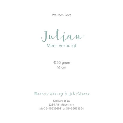 Geboortekaartjes - Bosdieren met mintgroene waterverf vlek 3