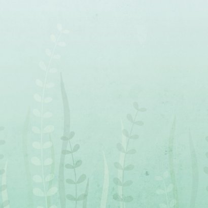 Geburtskarte Schildkröte und Fische Foto innen Rückseite