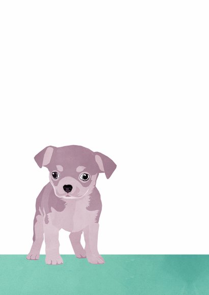 Gefeliciteerd - met puppy 2
