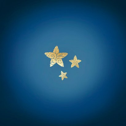 Geïllustreerd geboortekaartje met baby Ganesha Achterkant