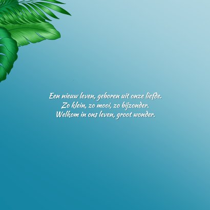 Gekleurd bruin kindje slapend in een wiegje in de jungle  2