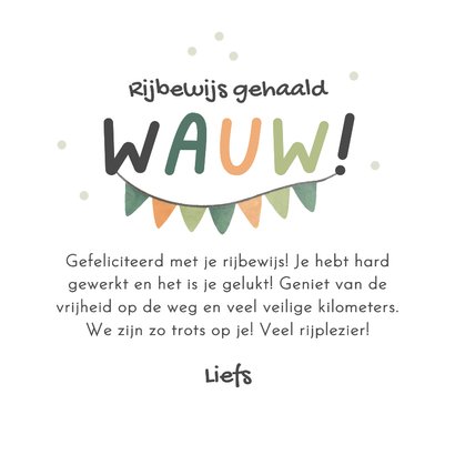 Geslaagd auto rijbewijs foto slingers foto ballonnen 3