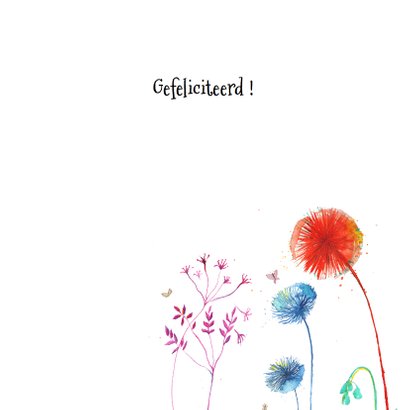 Geslaagd: je bent geslaagd! 3