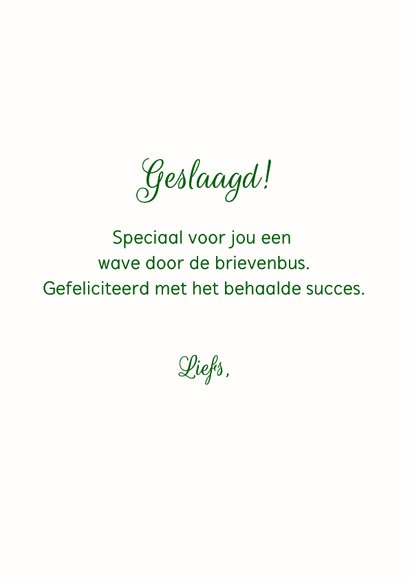 Geslaagd kaart met advocado 3
