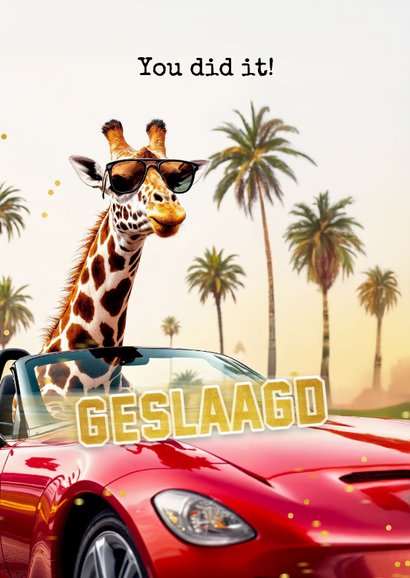 Geslaagd kaart rijbewijs giraf auto stoer grappig 2