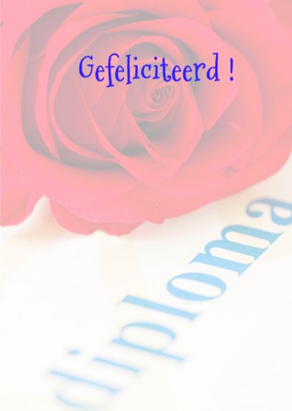 geslaagd voor diploma 3