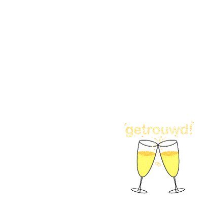 GETROUWD sterren champagne bubbels 3