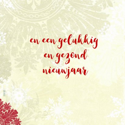 Gijs en Mickey vieren kerst 2