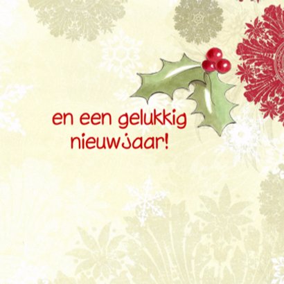 Gijs en Mickey vieren kerst 3