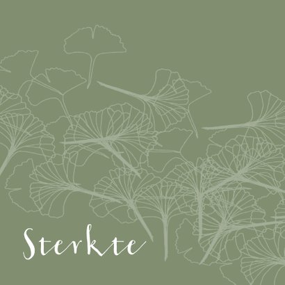 Ginko Sterkte en loslaten - AW 2