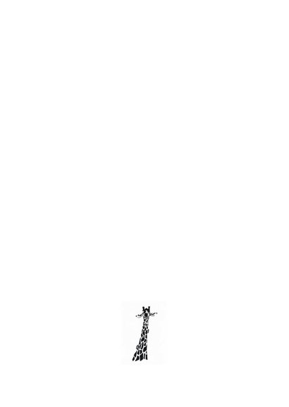 Giraffe illustratie zwart-wit 2