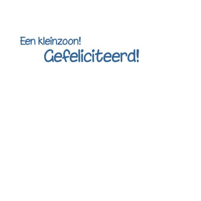 Giraffes met een kleinkind BLAUW 3