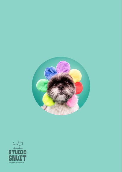 Grappig en lieve beterschapskaart van hond met bloemenmuts 2