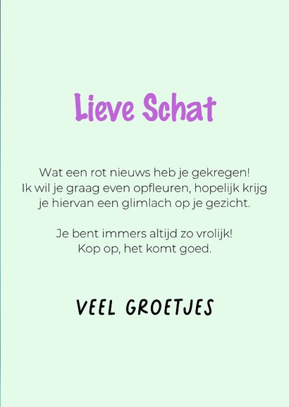 Grappig en lieve beterschapskaart van hond met bloemenmuts 3