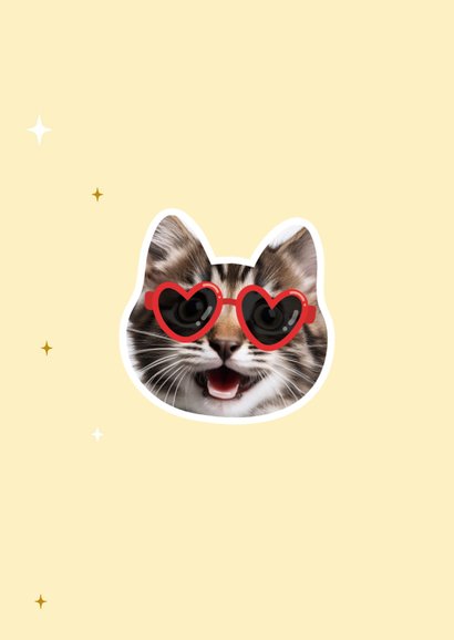 Grappig vaderdagkaartje cat dad met foto 2