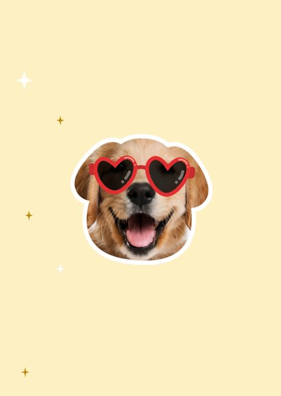Grappig vaderdagkaartje dog dad met foto 2